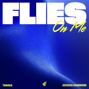 Flies On Me (artwork).jpg